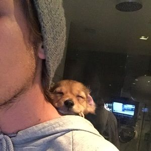 Meet your Posher, Curtis